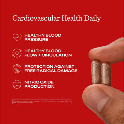 Humann Cardiovascular Health Daily, 4-in-1 Vascular & Blood Pressure Support, Grape Seed Extract Capsules & Hyaluronic Acid Circulation Supplements, Plant-Based Non-GMO, 60 Capsules Humann buy supplements Au