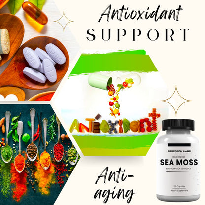 Research Labs 2 Fer 1 Ad Organic Irish Sea Moss Capsules 240 Total Pills, Raw Wildcrafted Seamoss Enhanced w/Bladderwrack & Burdock Root Antioxidant Powerhouse. Thyroid Support