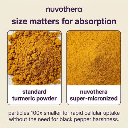 Nuvothera Super-Micronized Turmeric Curcumin Capsules Rapid Absorption, Whole Root, Non-GMO, Skin, Gut Health & Antioxidants (1 Month Pack (60 Capsules)) Nuvothera buy supplements Au