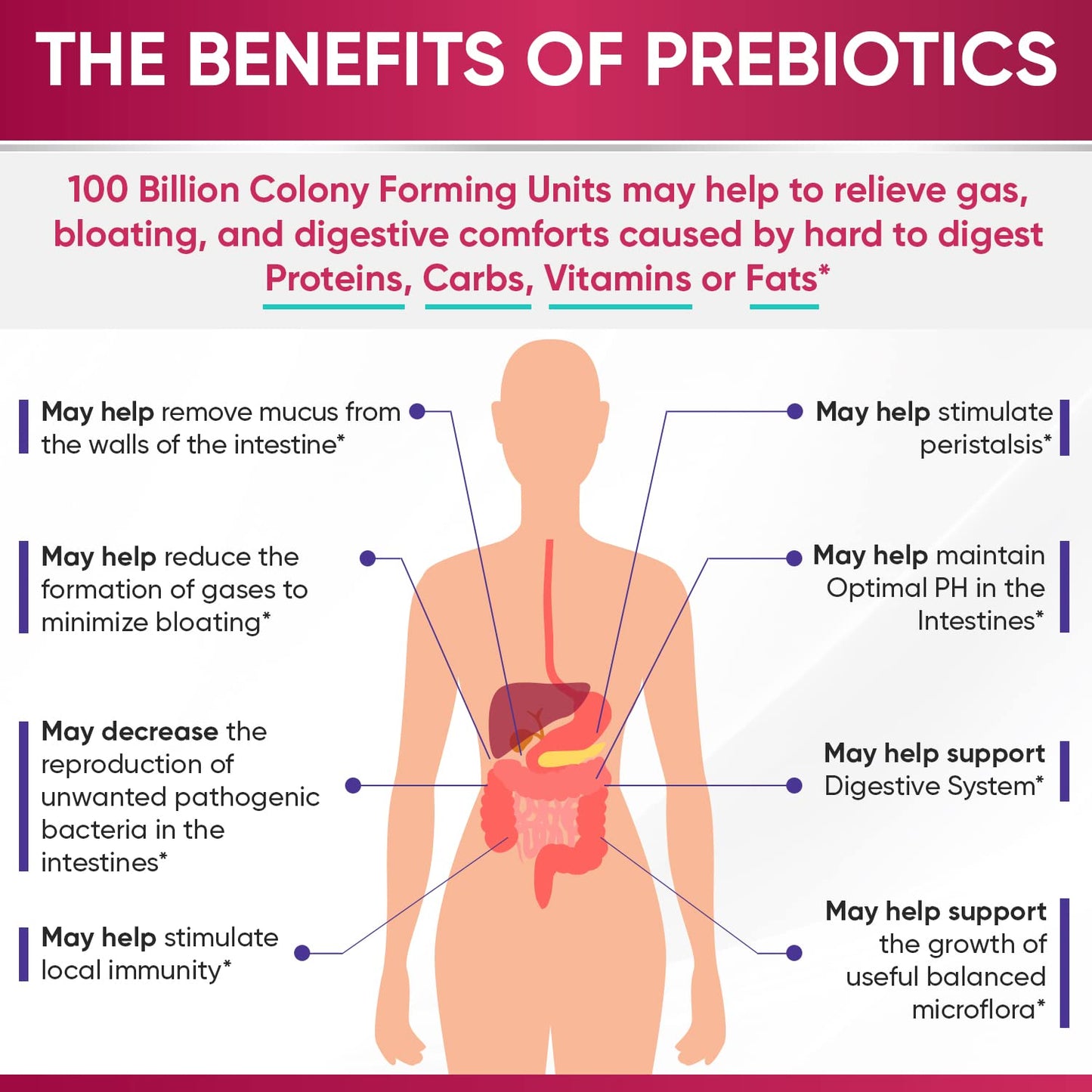 Wholesome Wellness Dr. Formulated Raw Probiotics for Women 100 Billion CFUs Capsules with Prebiotics, Digestive Enzymes, Approved for Adults, Shelf Stable Supplement Wholesome Wellness buy supplements Au