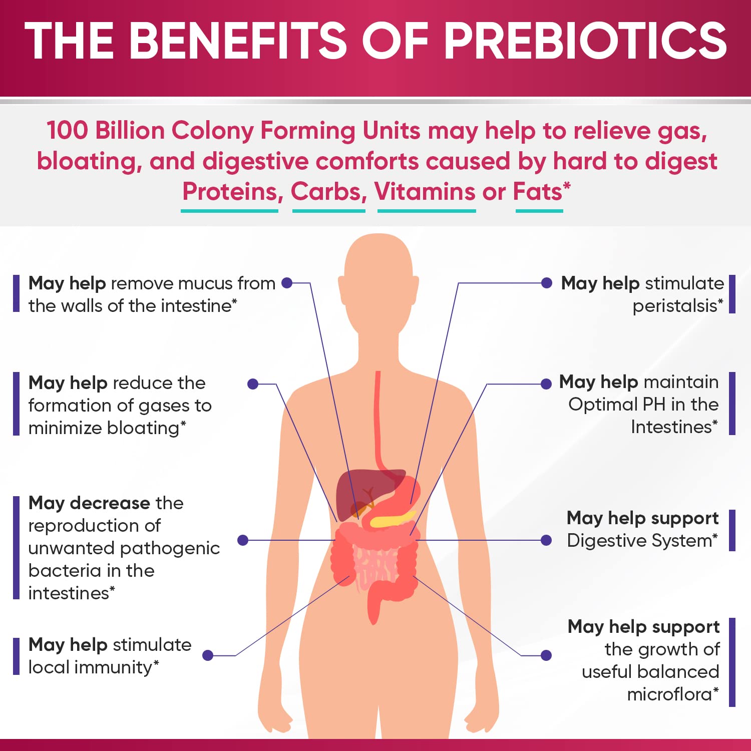Wholesome Wellness Dr. Formulated Raw Probiotics for Women 100 Billion CFUs Capsules with Prebiotics, Digestive Enzymes, Approved for Adults, Shelf Stable Supplement Wholesome Wellness buy supplements Au