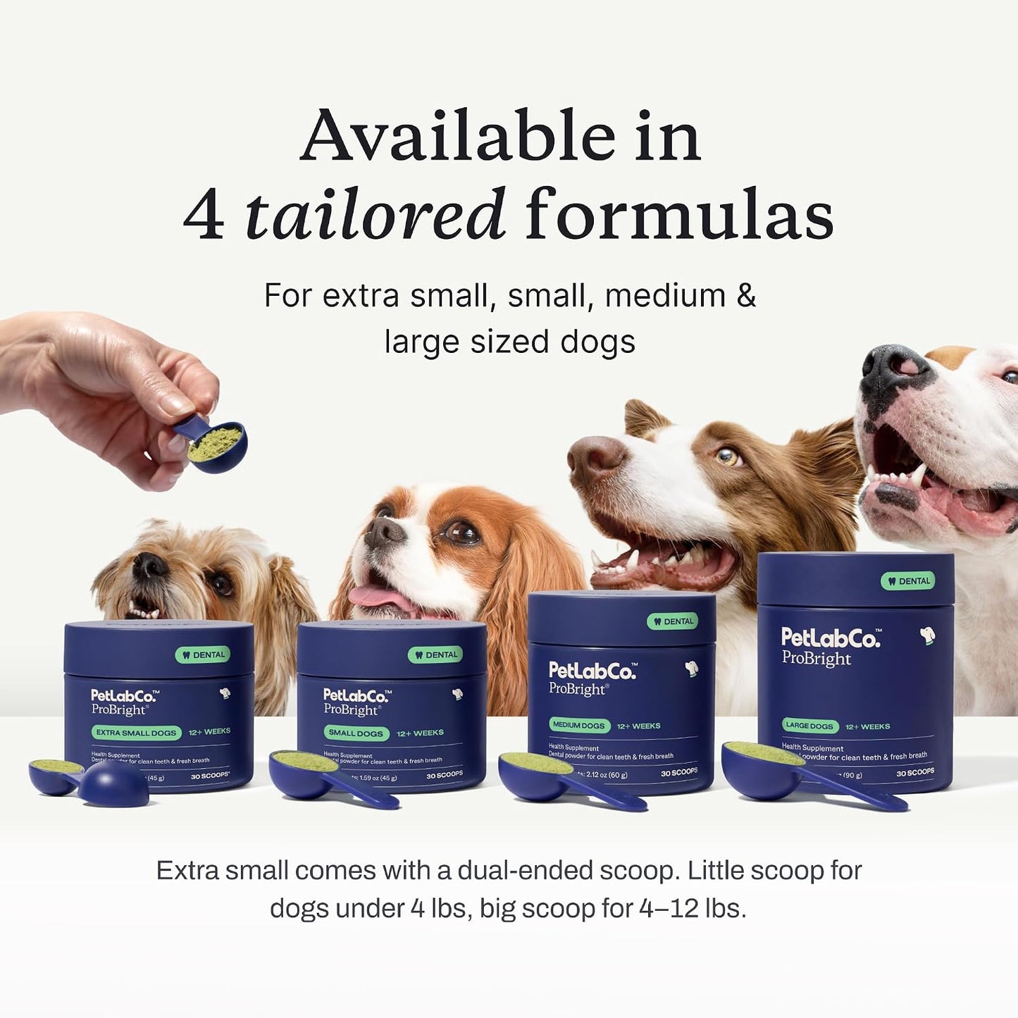PetLab Co. – Oral Hygiene & Gut Health Bundle: Dental Powder for an Effortless Clean in 1 Scoop for Medium Sized Dogs & Probiotics for Dogs Supporting Gut Health & Seasonal Allergies