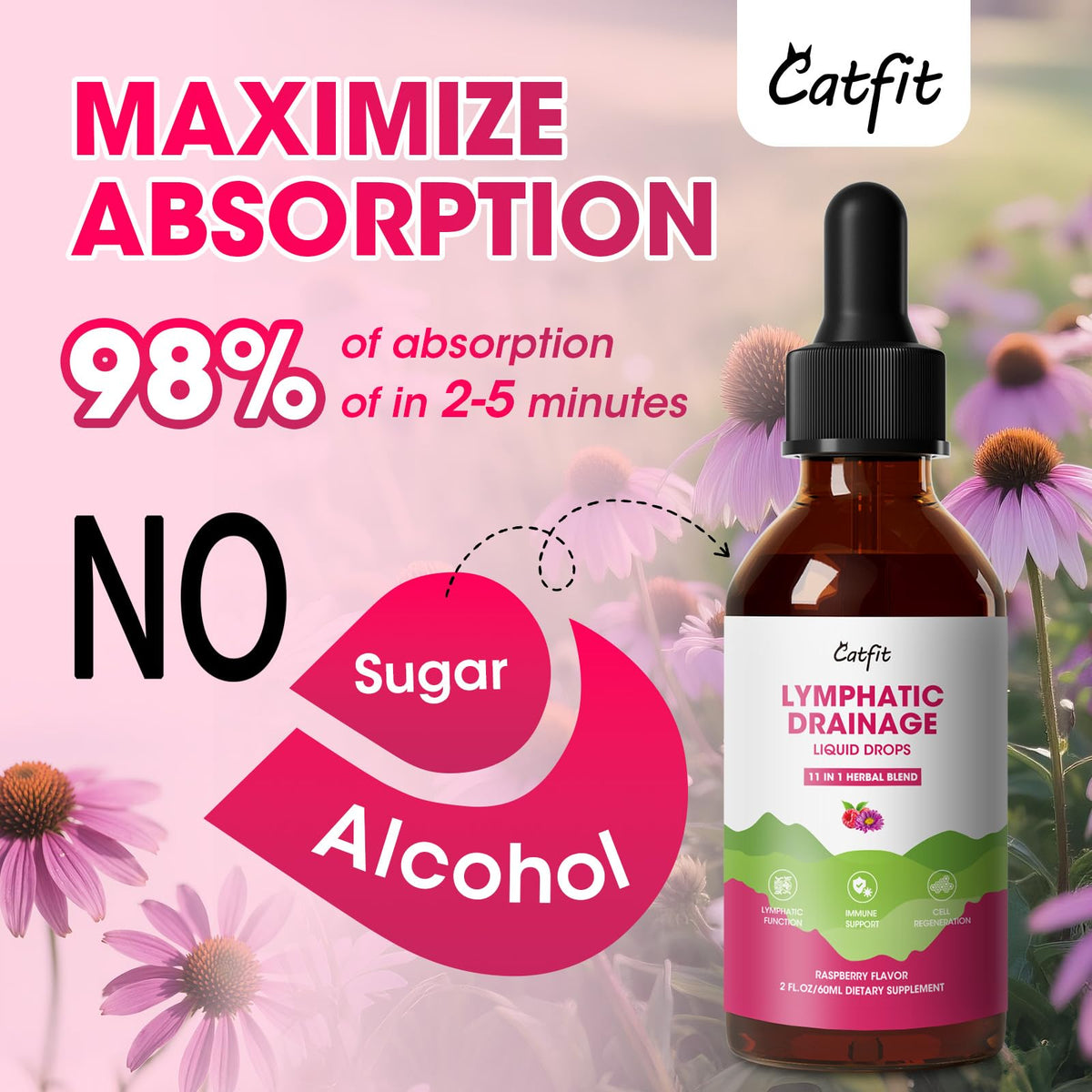 Lymphatic Drainage Supplements Drops for Immune, Lymph System Support, Cleanse & Detox, Liver Health with Echinacea,Elderberry,Cleavers Herb,Burdock, Calendula, Non-GMO, Raspberry Flavor, 2 Fl Oz Catfit buy supplements Au