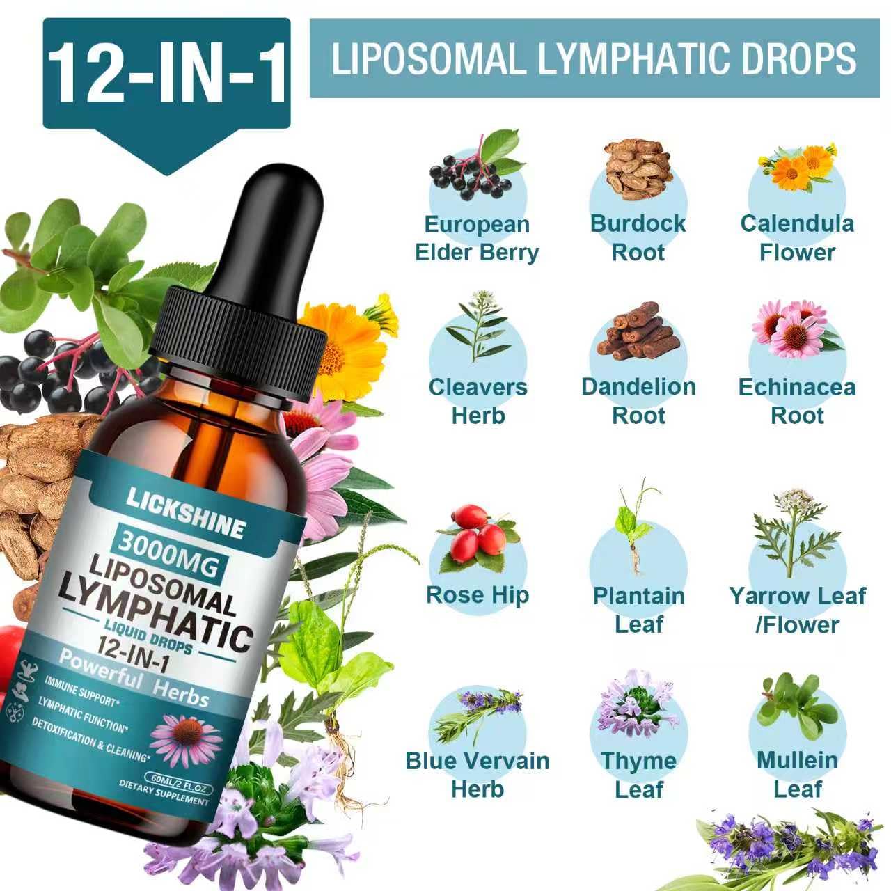 2 Packs 3000MG Liposomal Lymphatic Drainage Drops, 12 in 1 Organic Lymphatic Drainage Supplements with ElderBerry, Burdock Root, Cleavers Herb & Echinacea, Lymphatic Cleanse Immune Support, 4 Fl oz lickshine buy supplements Au