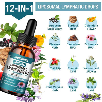 2 Packs 3000MG Liposomal Lymphatic Drainage Drops, 12 in 1 Organic Lymphatic Drainage Supplements with ElderBerry, Burdock Root, Cleavers Herb & Echinacea, Lymphatic Cleanse Immune Support, 4 Fl oz lickshine buy supplements Au