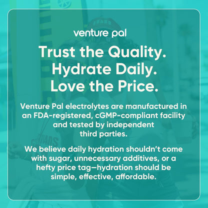 Venture Pal Sugar Free Electrolyte Powder Packets - Liquid Daily IV Drink Mix for Rapid Hydration & Party Recovery | 5 Vitamins & 7 Electrolytes| Keto Friendly | Non-GMO | Certified Vegan | 16 Sticks