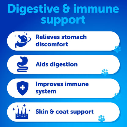 Probiotics for Dogs - Support Gut Health, Itchy Skin, Allergies, Immunity, Yeast Balance - Dog Probiotics and Digestive Enzymes with Prebiotics - Reduce Diarrhea, Gas - 120 Probiotic Chews for Dogs