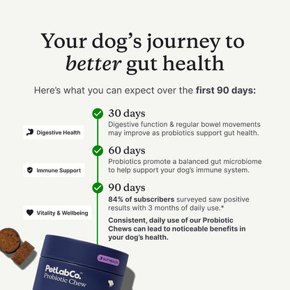 PetLab Co. – Gut & Digest Daily Duo: Pumpkin Powder Blend for Easy Digestion & Firm Stools for Small/Medium/Large Dogs & Salmon‑Flavoured Probiotic Chews to Support Gut & Immune Balance – Easy to Use