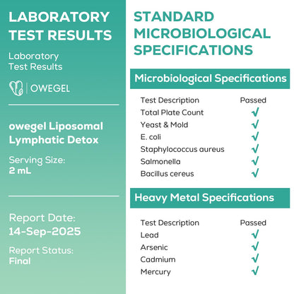 owegel Liposomal Lymphatic Drainage Drops 2000mg – Immune & Lymph System Support – Lymphatic Detox and Cleanse with Echinacea, Red Clover, Dandelion & Cleavers – Sugar-Free, Alcohol-Free – 2 FL OZ owegel buy supplements Au