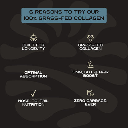 Lineage Provisions 100% Grass Fed Collagen Powder UNFLAVORED – Hydrolyzed Bovine Collagen Peptides with Trachea, Scapula, Eggshell Membrane – Collagen Protein Powder with Vitamin C – 30 Servings Lineage Provisions buy supplements Au