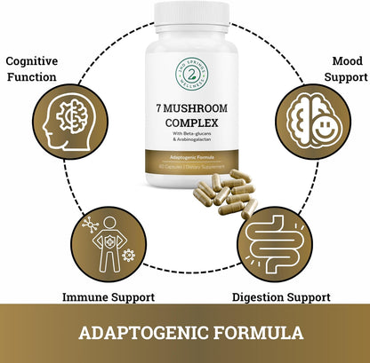 Women’s Daily 7 Essentials + ALA & ALC Complex + 7 Mushroom Complex + Brain Support + Magnesium Bisglycinate Bundle | Energy, Focus, Immunity, Cognitive Support & Daily Wellness