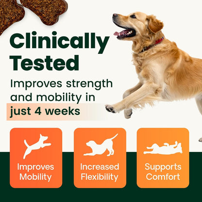 VetriScience Ultimate Strength Healthy Hip & Joint Chews, GlycoFlex Glucosamine, Chondroitin and Green-Lipped Mussel Joint Support Supplement for Dogs, Soothe Joint Discomfort, Duck, 120 Count VETRISCIENCEBuy Supplements Australia
