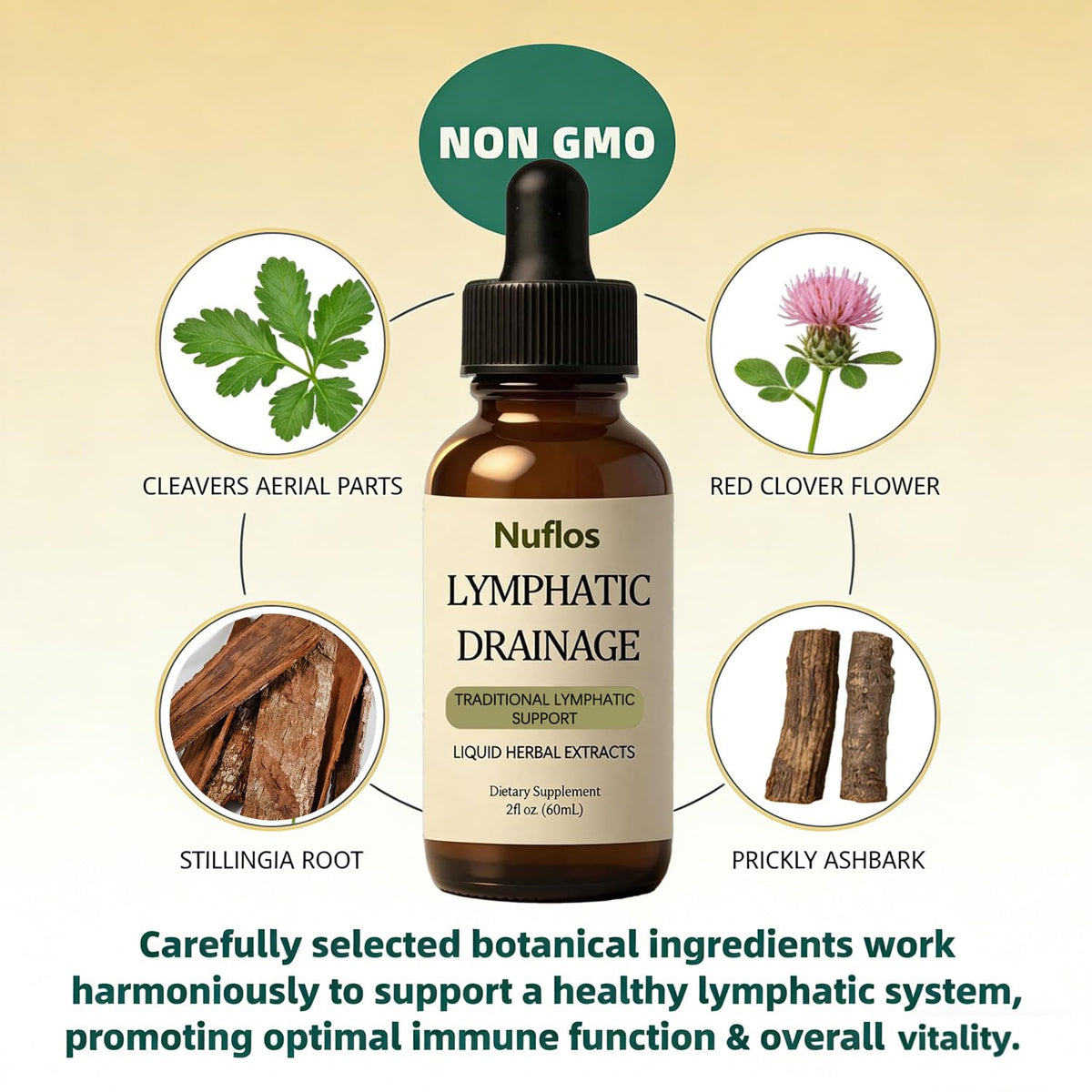 SAPURAIS Nuflos Lymphatic Drainage Drops, Supports Fluid Balance & Immune Health, 2 fl.oz SAPURAIS buy supplements Au