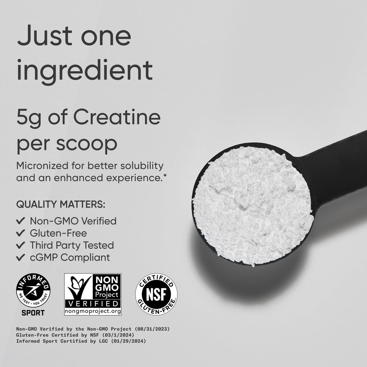 Sports Research Creatine Monohydrate - Gain Lean Muscle, Improve Performance and Strength and Support Workout Recovery* - 5 g Micronized Creatine - 17.64 oz Sports Research buy supplements Au