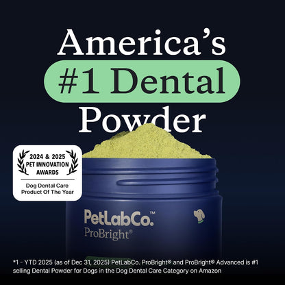 PetLab Co. – Breath & Joint Bundle: Dental Powder for an Effortless Clean in 1 Scoop for Large Dogs & Joint Care Chews for Dogs Supporting Mobility & Occasional Joint Stiffness