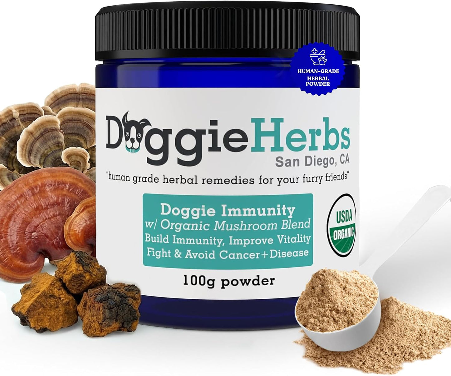 High Potency Immune Support – Critical Care Formula with Turkey Tail, Reishi & TCM Mushrooms + Herbs – Doctor Formulated Powder for Recovery, Vitality & Cellular Health 100g