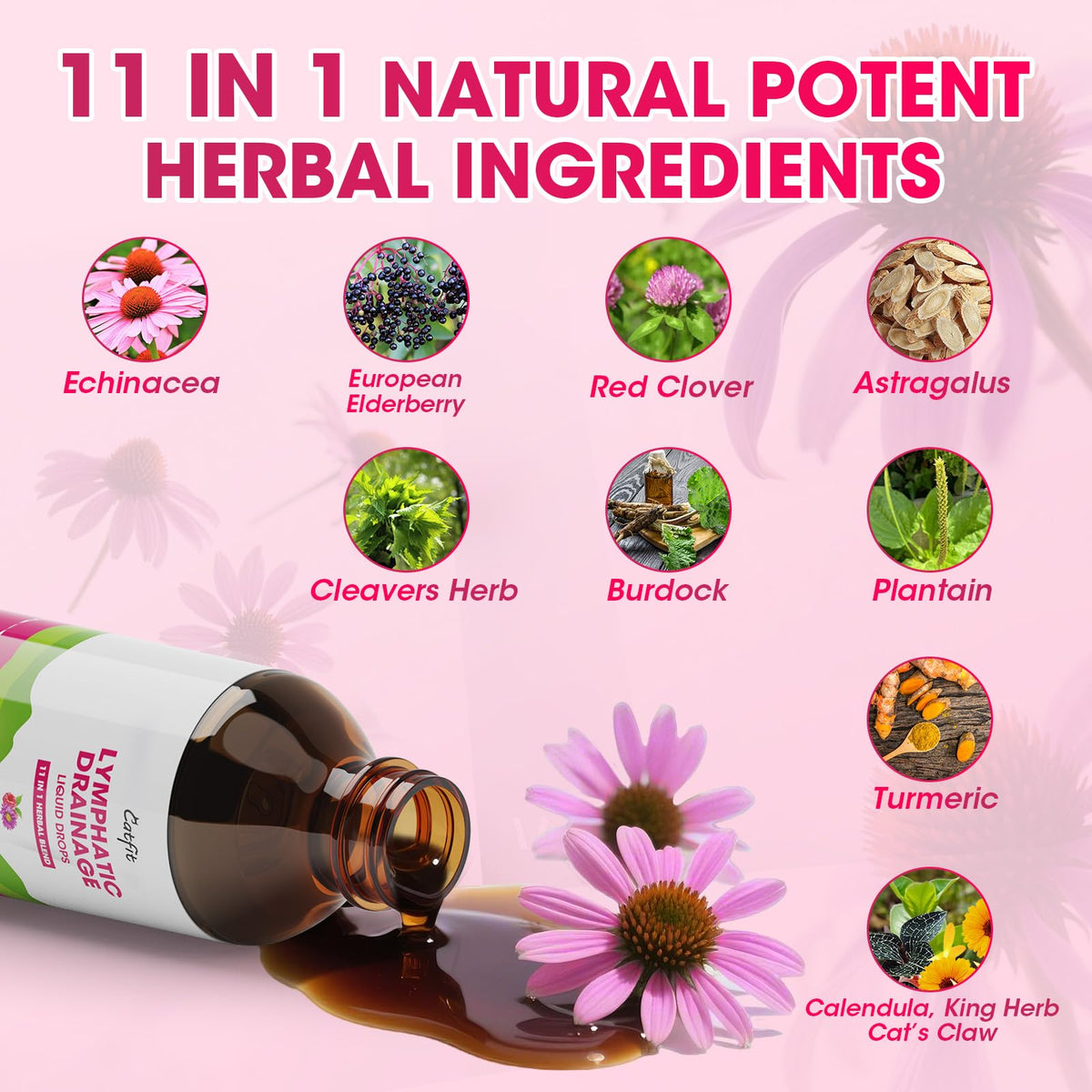 Lymphatic Drainage Supplements Drops for Immune, Lymph System Support, Cleanse & Detox, Liver Health with Echinacea,Elderberry,Cleavers Herb,Burdock, Calendula, Non-GMO, Raspberry Flavor, 2 Fl Oz Catfit buy supplements Au