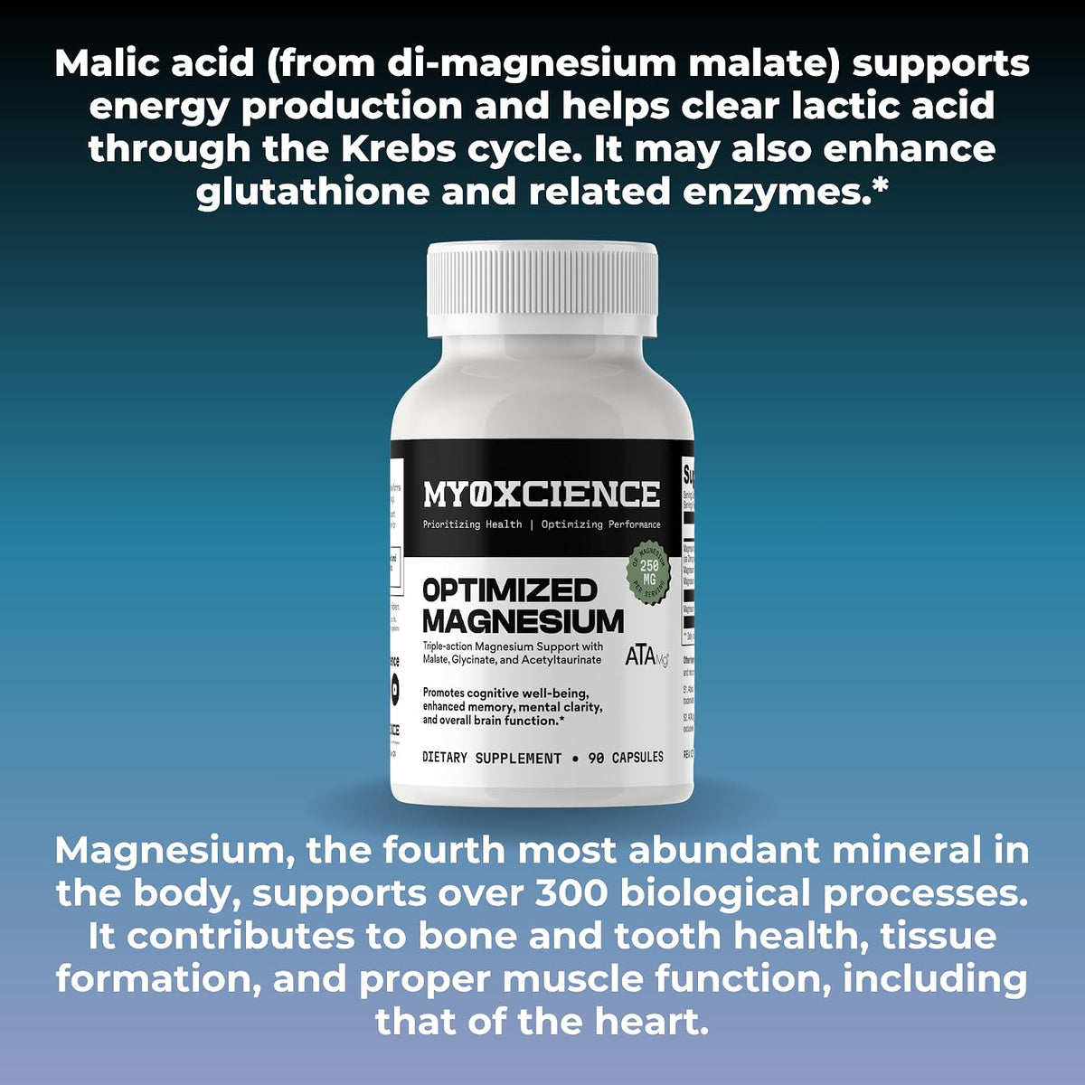 MYOXCIENCE Optimized Magnesium Glycinate + Magnesium Taurate (as ATAmag®) for High Brain Bioavailability to Support Stress Relief and Sleep | 30 Servings