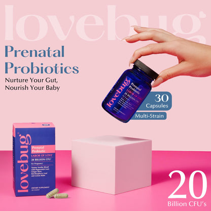 LOVEBUG Prenatal Probiotic | Helps with Morning Sickness, Nausea, Heartburn & Digestion | Helps Baby Microbiome | Multi Strain 20 Billion CFU | 30 Capsules LOVEBUG buy supplements Au