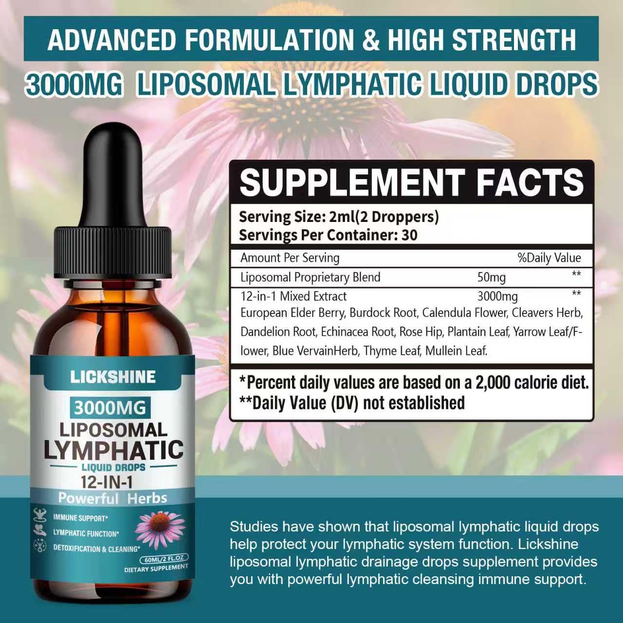 2 Packs 3000MG Liposomal Lymphatic Drainage Drops, 12 in 1 Organic Lymphatic Drainage Supplements with ElderBerry, Burdock Root, Cleavers Herb & Echinacea, Lymphatic Cleanse Immune Support, 4 Fl oz lickshine buy supplements Au