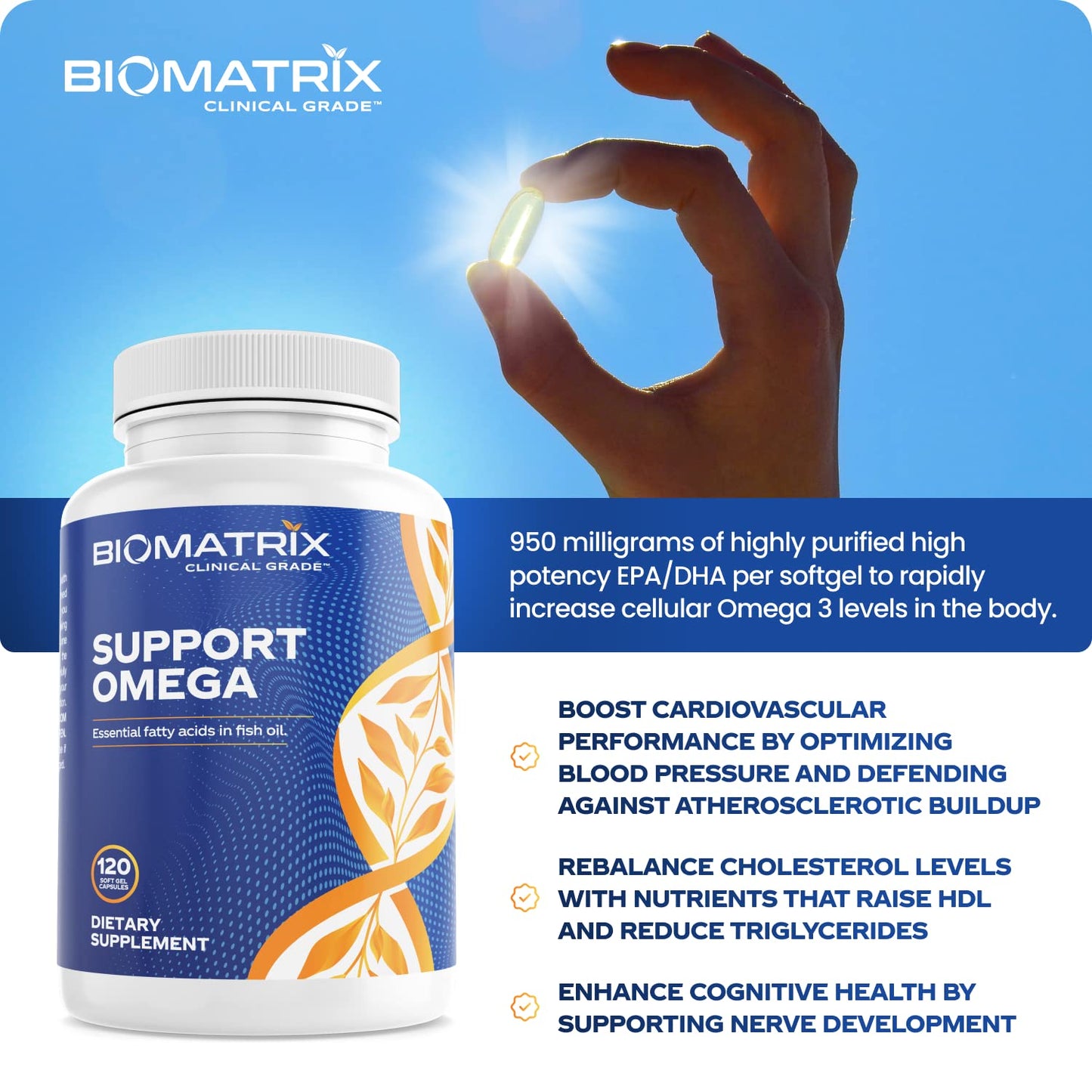 Support Omega EPA DHA Omega 3 Fish Oil Supplement - Cardiovascular, Musculoskeletal Support (120 Gel Capsules) BioMatrix buy supplements Au