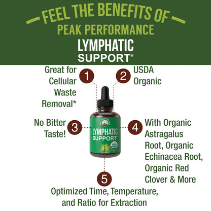 USDA Organic Lymphatic Drainage Drops. Sugar Free, Tasty 6-in-1 Lymph System Support for Detox, Cleanse. Vegan Supplement with Astragalus, Echinacea, Red Clover, Cleavers Herb, Licorice & Burdock Root Peak Performance buy supplements Au