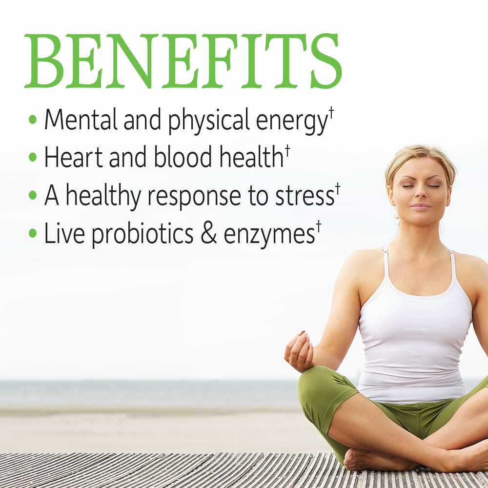 Garden of Life Vitamin B Complex, 120 Vegan Capsules, High Potency Vitamins for Energy & Metabolism with B6, Folate & B12 as Methylcobalamin Plus Probiotics Garden of Life buy supplements Au