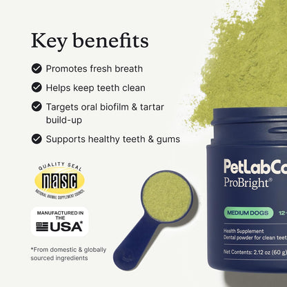 PetLab Co. – Seasonal Allergy Support & Dental Care in One Routine - Allergy & Immune Chews + ProBright Dental Powder for Total Wellness Inside & Out - Medium Sized Dogs