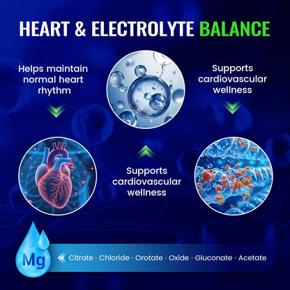 Magnesium Complex with 15 Types Magnesium Glycinate Citrate Malate Taurate Oxide Carbonate Chloride Orotate Magnesio Muscle, Heart, Relaxation & Nerves 120 Vegan Capsules, 60-Day Supply Ashenutri buy supplements Au