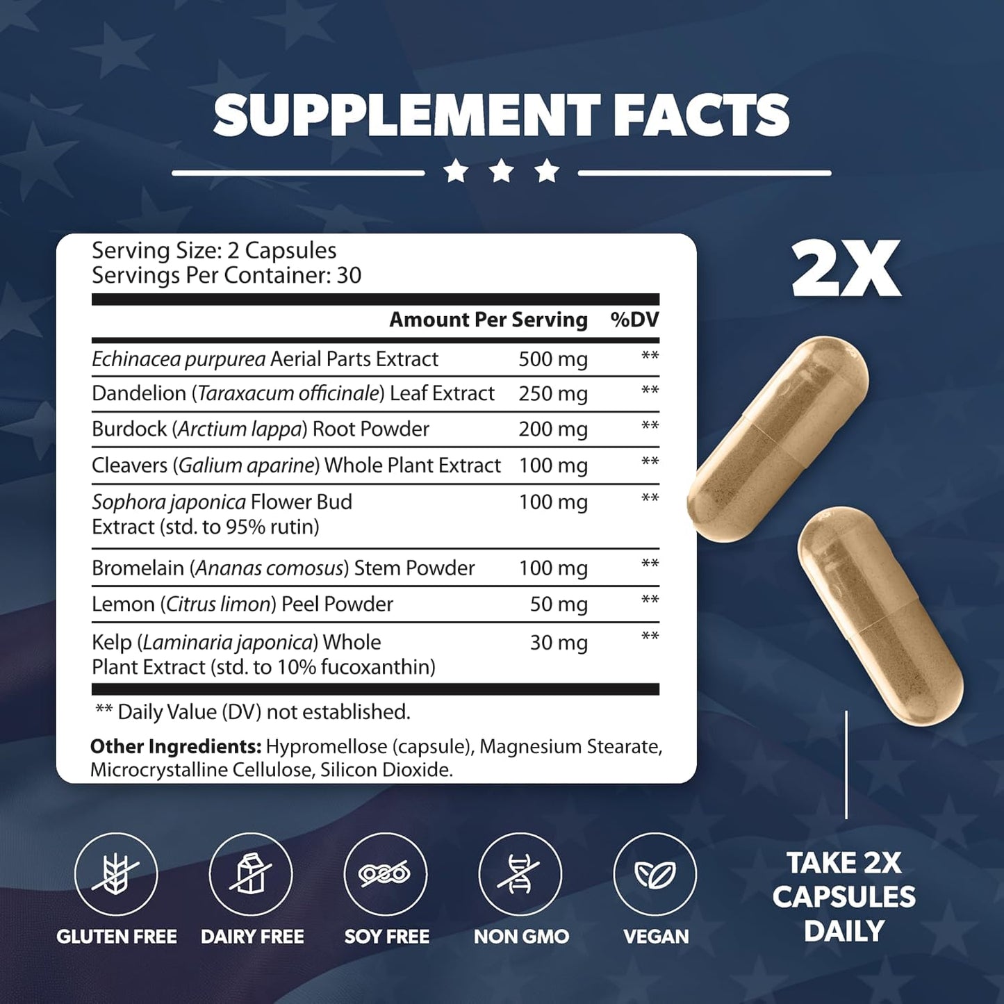 AMERICAN VITALITY LymphaVive Lymphatic Drainage Supplements for Men & Women - Lymphatic Support with Bromelain, Echinacea, Burdock Root, Dandelion, Rutin, Kelp - 60 Capsules AMERICAN VITALITY buy supplements Au
