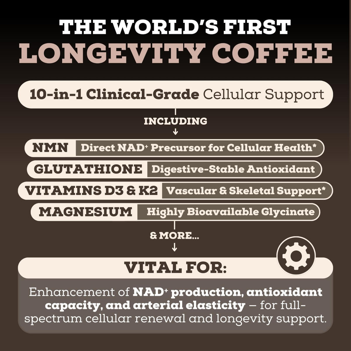 Black Forest Longevity Mix Liquid NAD+ Alternative Mocha Coffee 10-in-1 with NMN 250mg, Glutathione 250mg, TMG, Magnesium Glycinate, Vitamins D3 K2 C B12, High Polyphenol Cocoa, 30 Servings