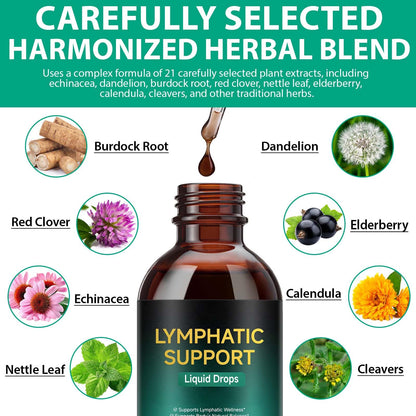 Lymphatic Drainage Drops, Support Supplement with Echinacea, Dandelion, Elderberry, Cleavers, Astragalus, Burdock & More, 2 FL OZ - Natural Lymphatic Cleanse & Immune Support VOGSIG buy supplements Au