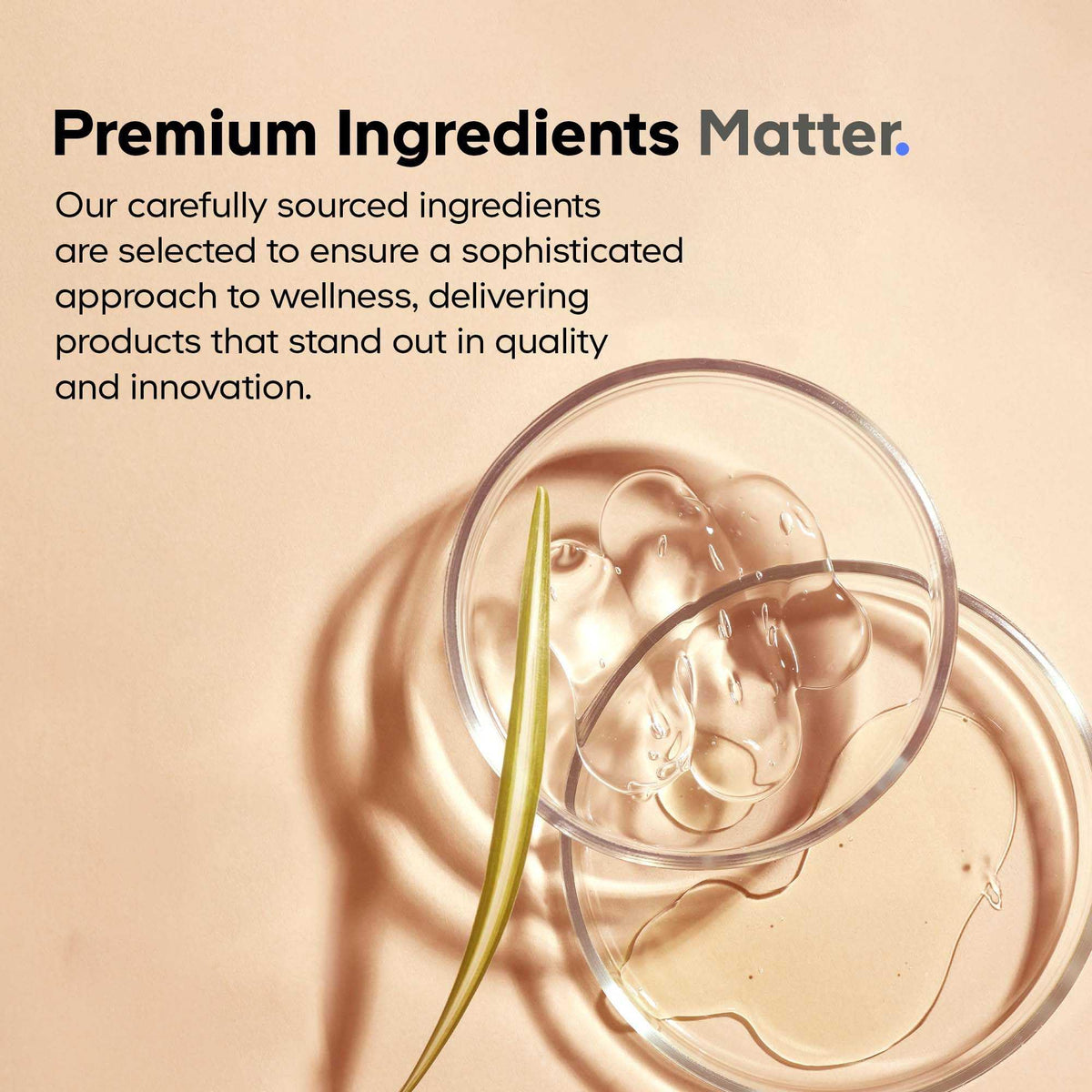 Codeage Men's Multivitamin 50 - Essential Vitamins & Minerals for Men Over 50 - Daily Multivitamins for Men Supplement - Vitamin A, C, D3, E, B6, B1, CoQ10, Probiotics, Lutein - Non-GMO - 30 Capsules CodeageBuy Supplements Australia