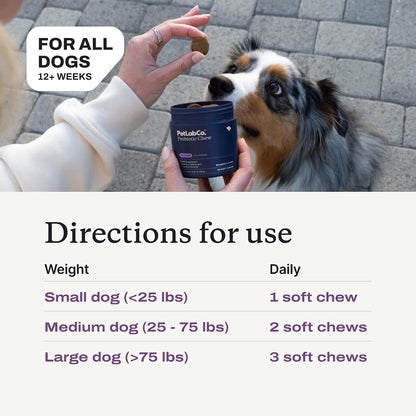 PetLab Co. Paw & Probiotic Bundle: Dog Paw Balm to Support Dry, Cracked Paws 2.4 Ounces & Dog Probiotics for Gut Health, Seasonal Allergies, Skin & Ear Yeast 30 Count