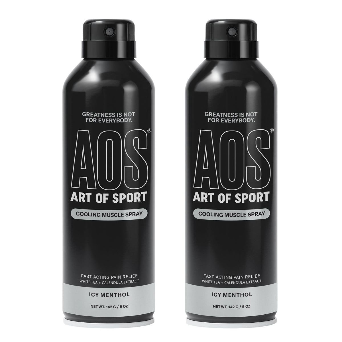 Art of Sport Muscle Relief Spray for Men – Cooling Menthol Pain Relief for Sore Muscles & Joints – Back, Neck, Knee, Shoulder, Hip – Fast-Acting Body Spray – Made for Athletes – 5 fl oz (2-Pack) Art of SportBuy Supplements Australia