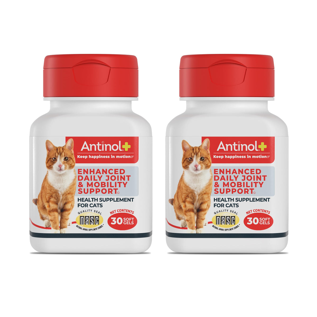 Antinol Plus, Mobility, Hip, and Joint Supplement for Cats, Green-Lipped Mussels and Krill Oil - Cat Joint Supplement, 60 Soft Gels AntinolBuy Supplements Australia