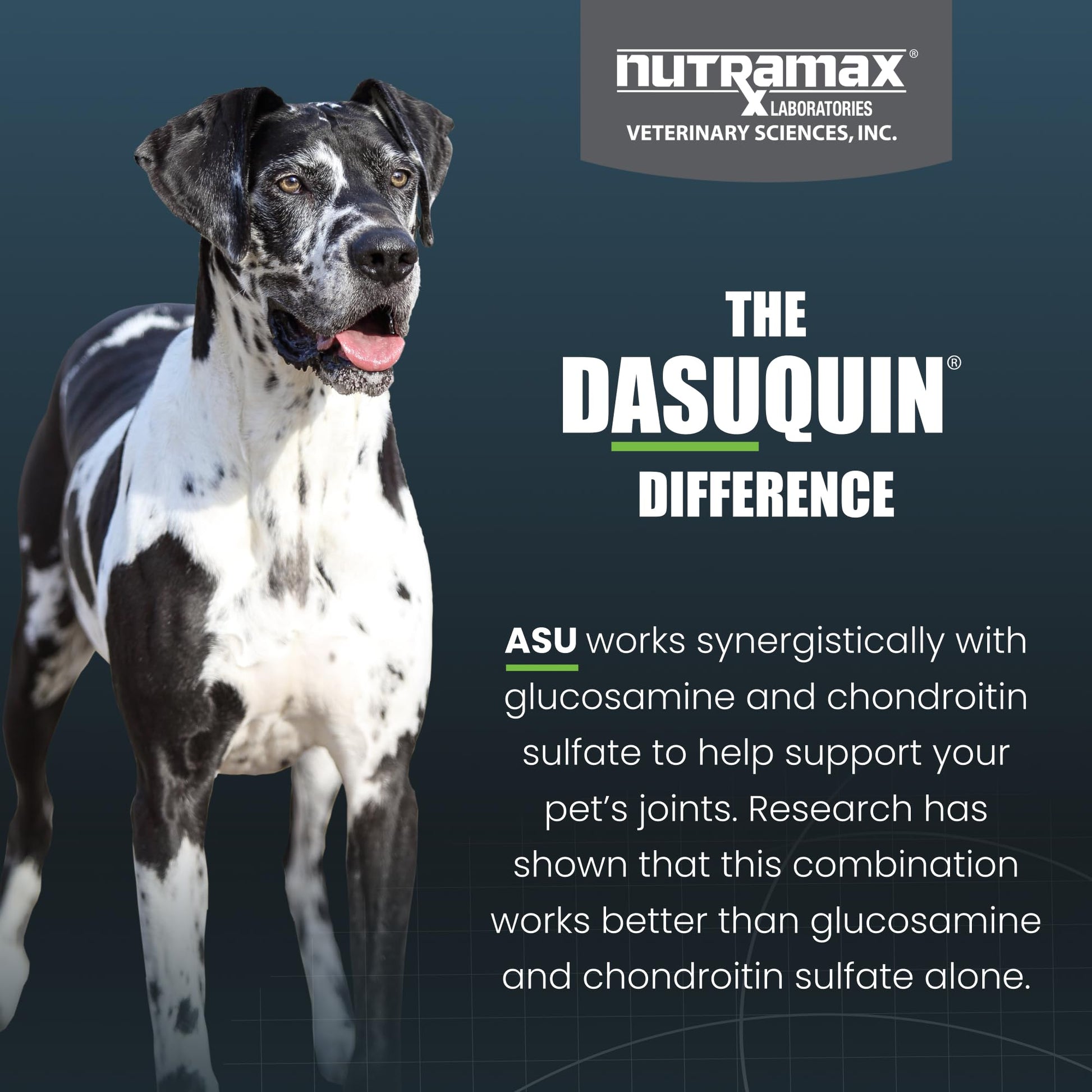 Nutramax Dasuquin for Large Dogs, Joint Health Supplement, Contains Glucosamine for Dogs, Plus Chondroitin, ASU, MSM and More, Supports Healthy Joints, Chewable Tablets, 150 Count Nutramax LaboratoriesBuy Supplements Australia