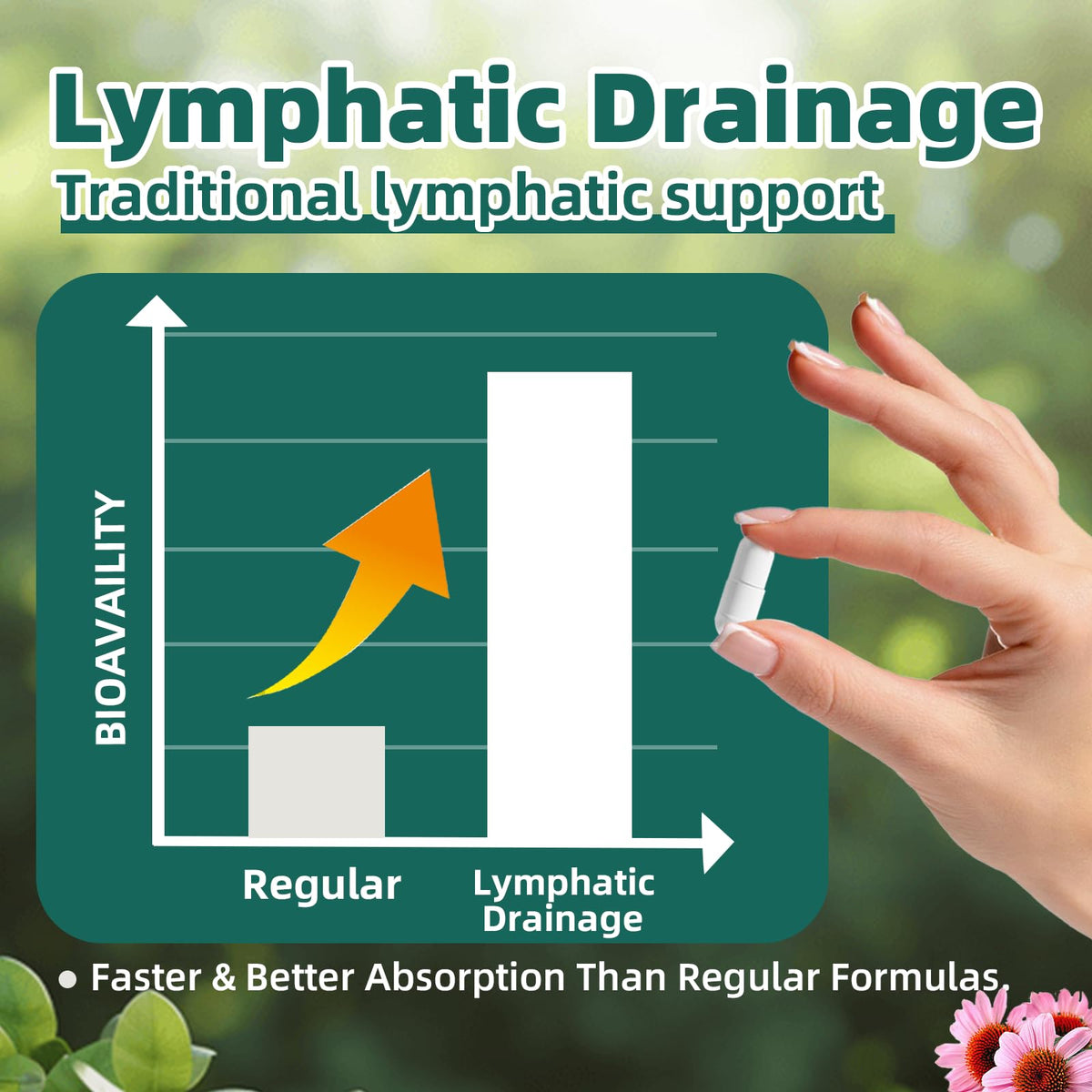 FRZVEO Lymphatic Drainage Capsules, 120 Capsules New Maximum Potency Formula 2 Month Supply with Dandelion Extract, Cleavers Extract - Supports Cellulite Reduction, Lymphatic Drainage & Immune Health FRZVEO buy supplements Au