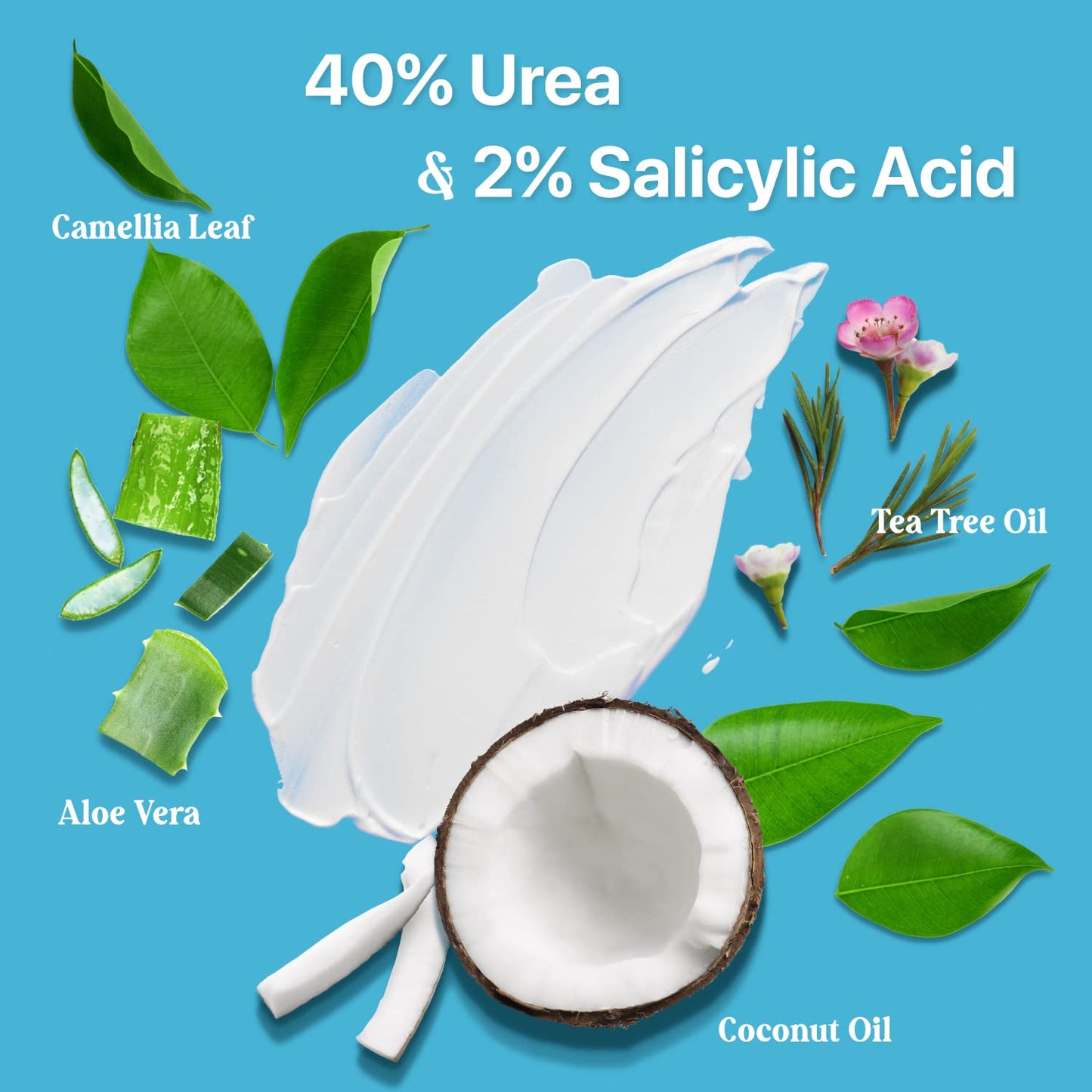 Ebanel Bundle of 2 Pack 40% Urea Cream 4.6 Oz, and Pain Relief Cream Arnica Menthol 2.28 Oz