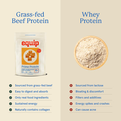 Equip Prime Chocolate Protein Powder - Gut-Friendly, No Sugar Protein Shake Powder with Grass-Fed Beef & Natural Collagen - Rich & Creamy Mix - 21g Per Serving - Whey & Dairy-Free (30 Scoops)