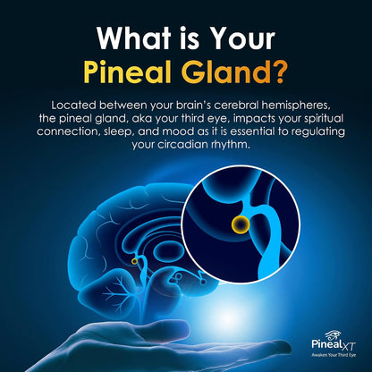 Pineal XT Gold Pineal Gland Supplement, Third Eye Awakening | Focus and Memory Supplement for Brain, 7 Powerful Ingredients Detox and Activate Your Pineal Gland, 30 Count, 1 Daily