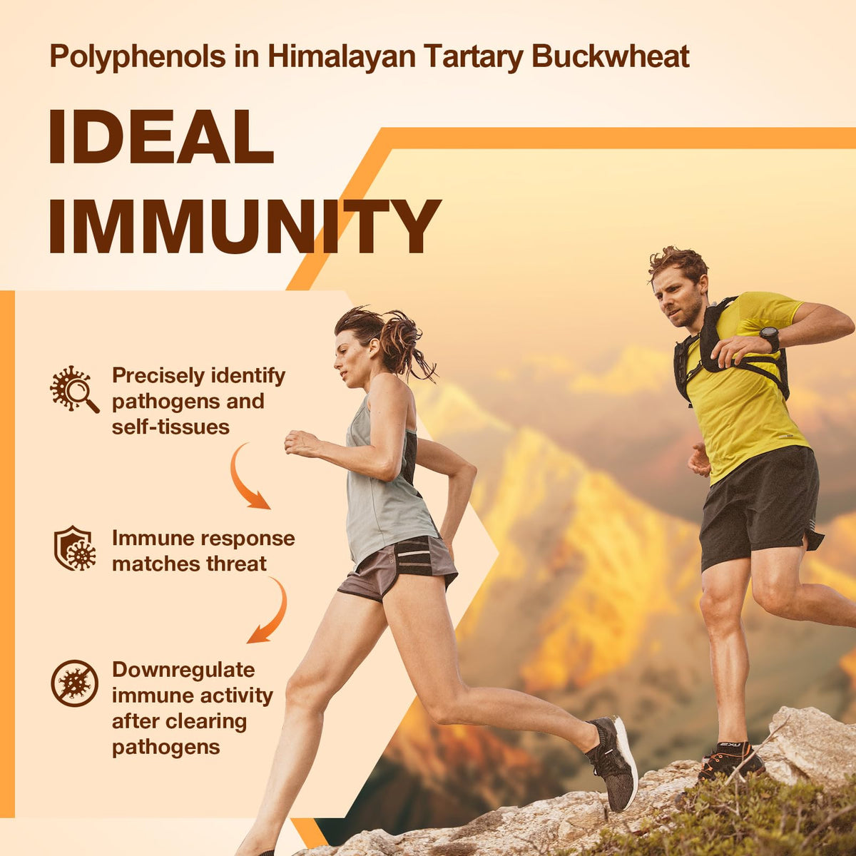 Nokuba Polyphenols Supplement for Immune Support | Himalayan Tartary Buckwheat Sourced | Polyphenol Superfood with Quercetin, Curcumin | Immune Booster, Antioxidant, Anti-inflammatory - 120 Capsules Nokuba buy supplements Au