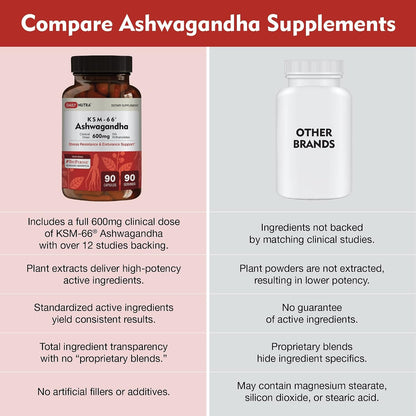 DailyNutra KSM 66 Ashwagandha (90 Capsules) and Mushroom Cacao Mix (16oz) Bundle for Relaxation and Focus