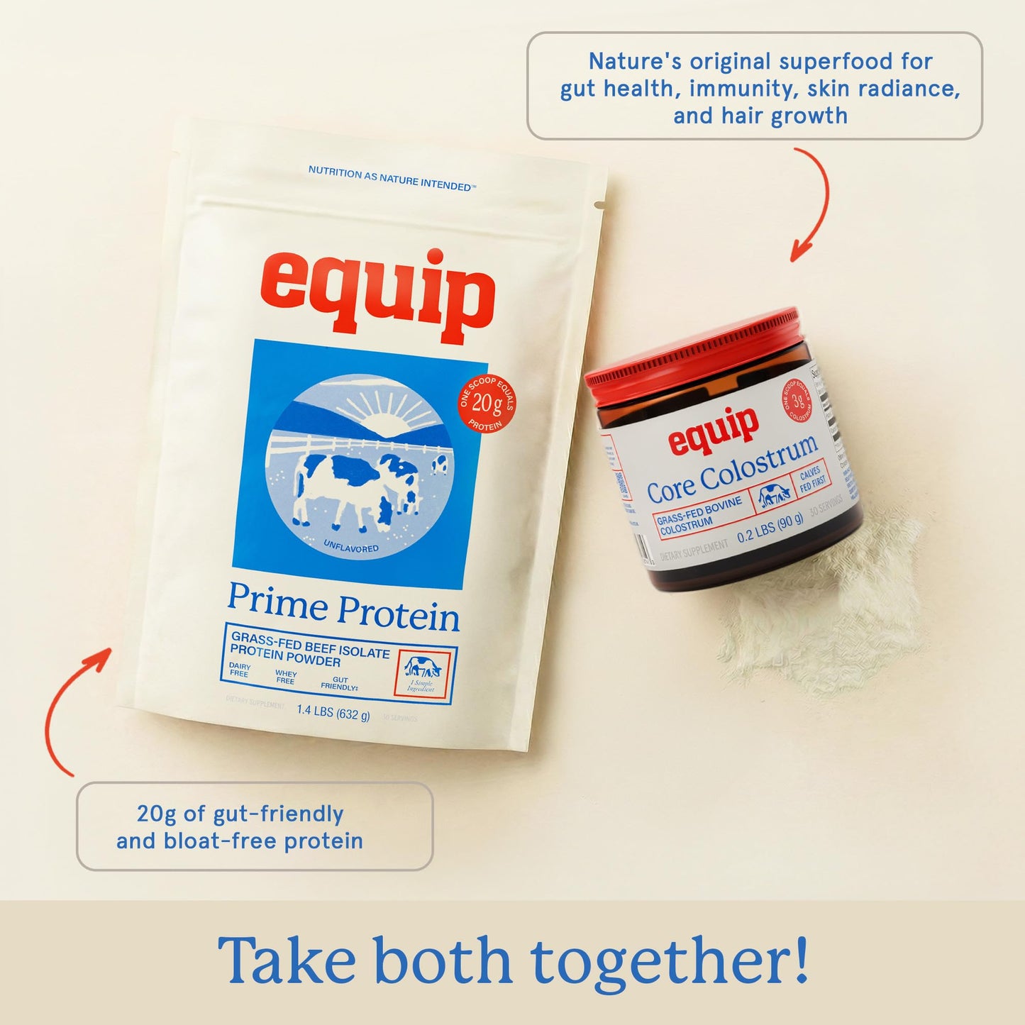 Equip Prime Chocolate Protein Powder - Gut-Friendly, No Sugar Protein Shake Powder with Grass-Fed Beef & Natural Collagen - Rich & Creamy Mix - 21g Per Serving - Whey & Dairy-Free (30 Scoops)