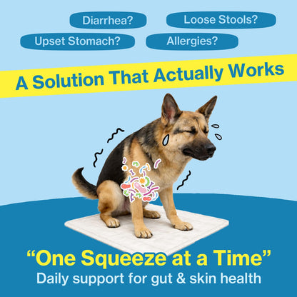 Doctor By Squeeze Probiotics for Dogs Gut Health Immunity Skin&Allergy Care Diarrhea Relief Digestive Stomach Support with L. crispatus KT-11 Lickable Paste Formula Individually Packaged, Chicken Doctor By buy supplements Au