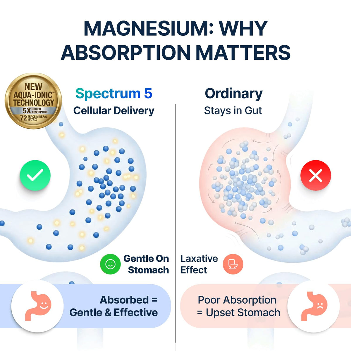 Spectrum 5 Magnesium | 5-in-1 Complex + 72 Trace Minerals for Enhanced Absorption | Irish Sea Sourced | 500mg per Serving