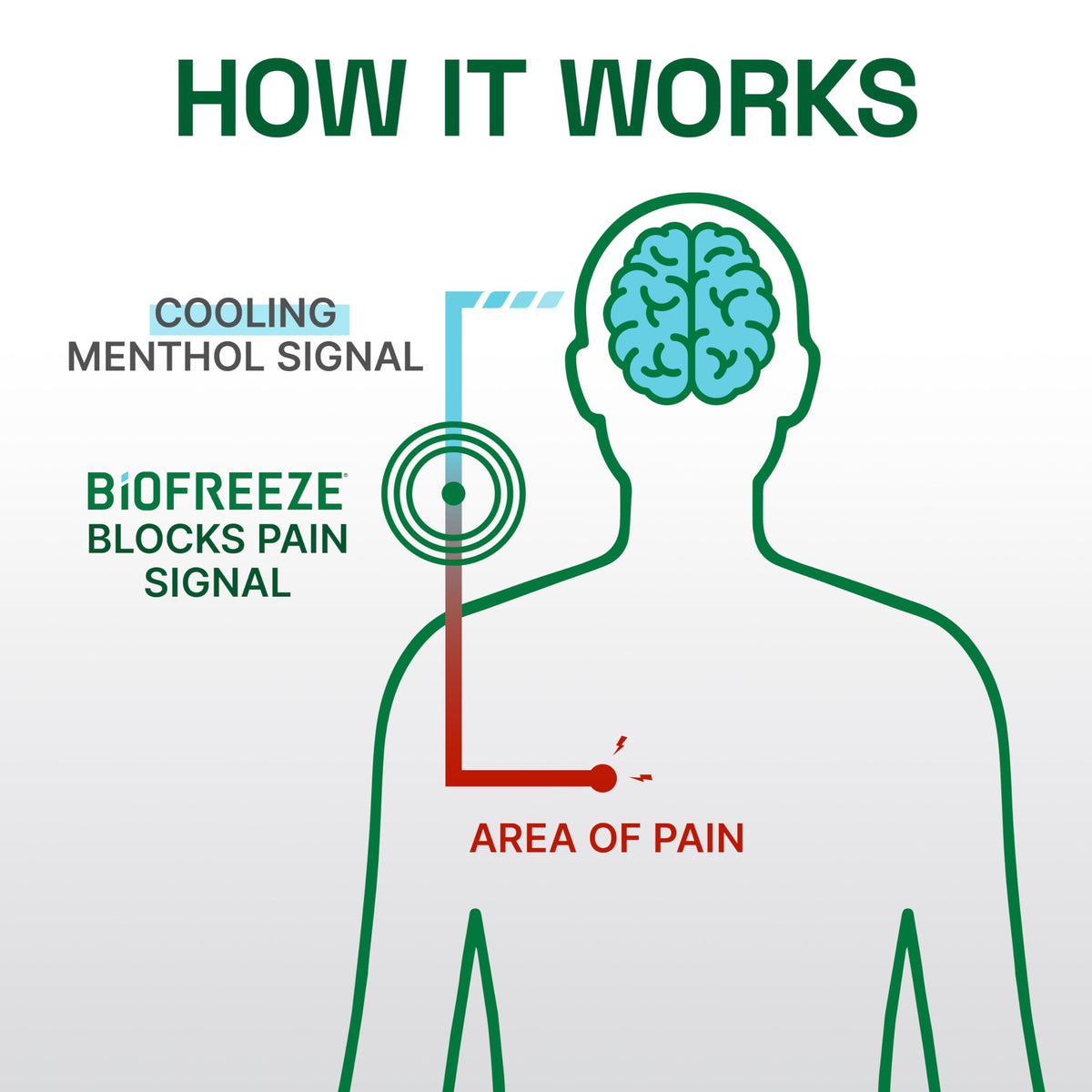 Biofreeze Professional Pain Relief Gel, 4 oz Tube (3-Pack) - Fast, Cooling Relief for Arthritis, Muscle Soreness, Joint, Back, Neck, Knee Pain & More BiofreezeBuy Supplements Australia