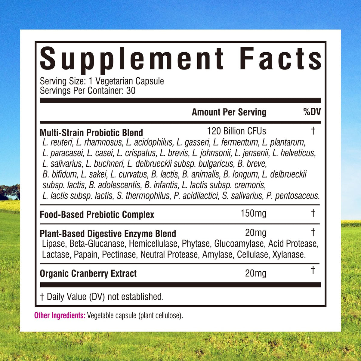 Innate Vitality Women's Probiotics, 120 Billion CFU, 32 Tested Strains, Probiotics for Women, Yeast Control, Vaginal pH Support, Prebiotics, Digestive Enzymes, Cranberry, Once Daily 30 Veggie Capsules Innate Vitality buy supplements Au