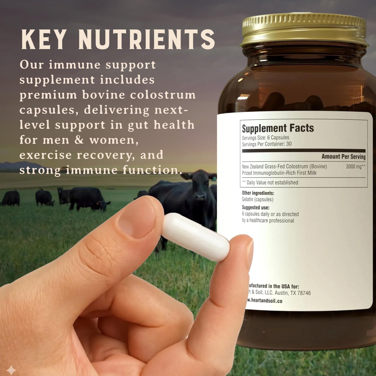HEART & SOIL 100% Grass Fed & Finished Colostrum Supplement from Regenerative Cattle for Gut, Muscle & Immune Health – 3000mg Bovine Colostrum Capsules - Gut Health for Men & Women –180 Capsules HEART & SOIL buy supplements Au
