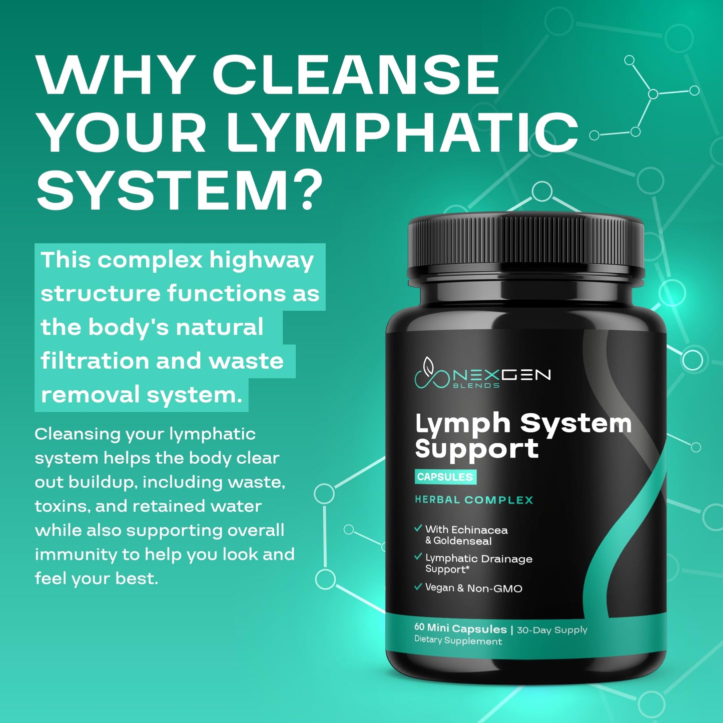 Herbal Lymph System Support Supplement - Lymphatic Support Complex with Echinacea Goldenseal Astragalus & Hydroxytyrosol for Lymphatic Drainage & Immune Support - Vegan Non-GMO Gluten Free (1 Month) NEXGEN BLENDS buy supplements Au